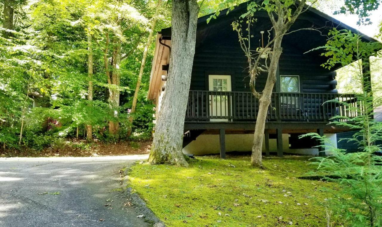 Tanglewood Motel And Log Cabins Maggie Valley Extérieur photo